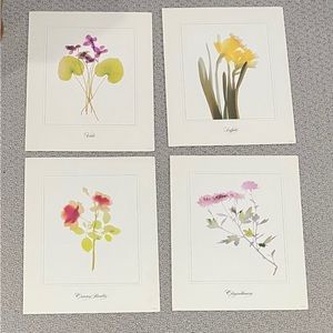 Painting w/Light Prints - Series of 4 - Beautiful Flower Prints